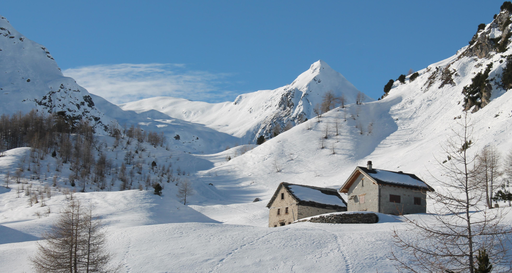 Alpe Lareccio - Rondadoira Alpe Lareccio - Rondadoira