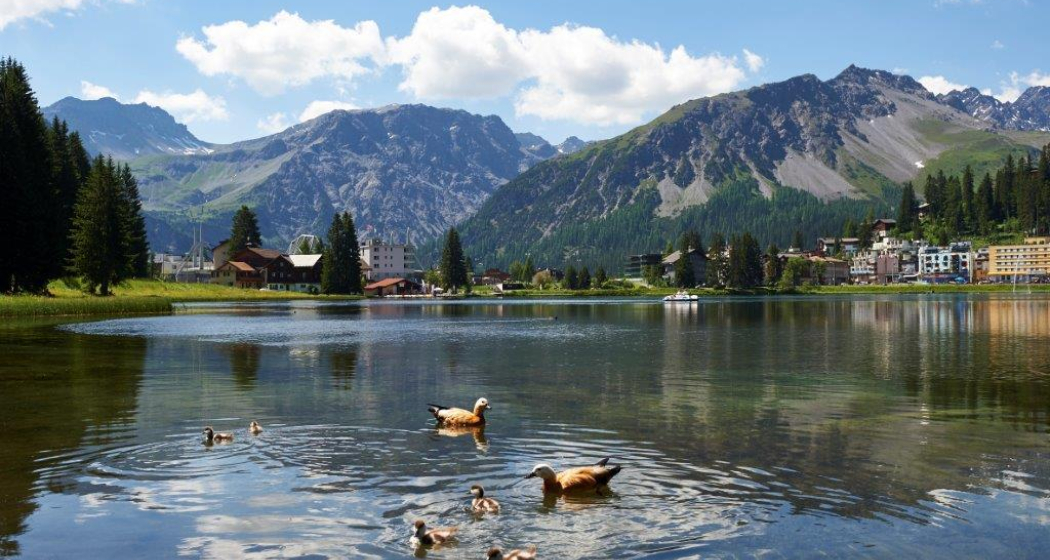 Obersee Sommer Obersee Sommer