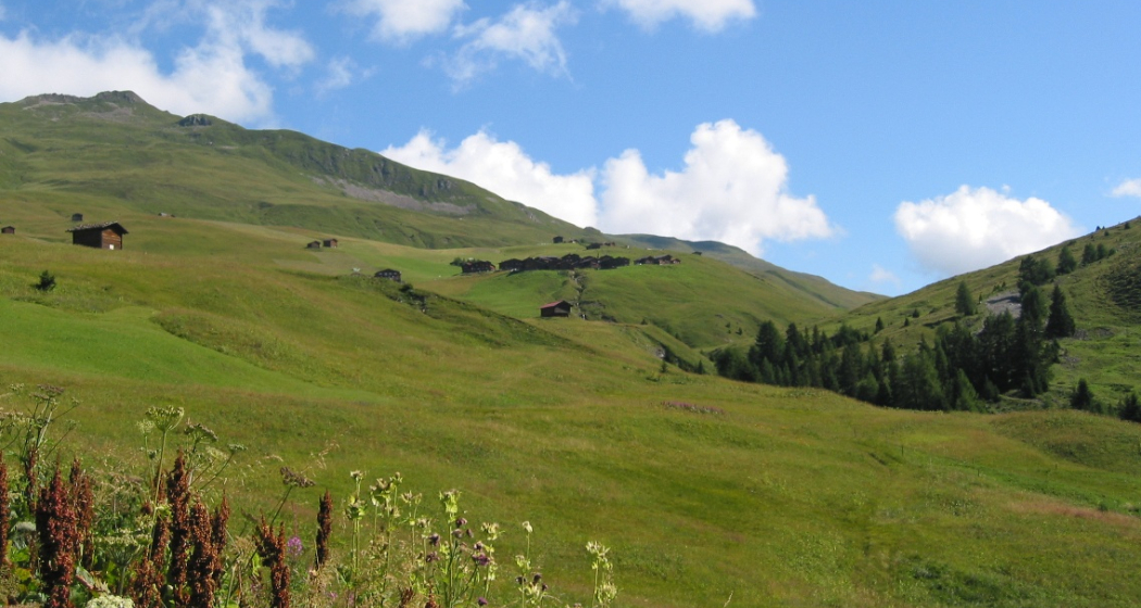 Etappe 19: Strassberg im Fondei Etappe 19: Strassberg im Fondei