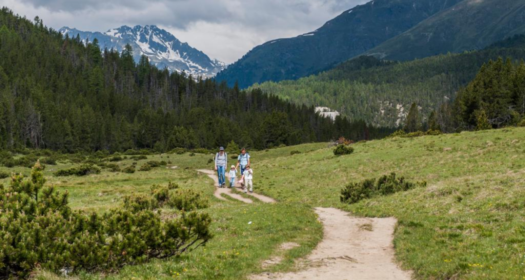 Kinderpfad Champlönch: Entlang des alten Saumpfades (Nationalpark) (oua_22668737_image) Kinderpfad Champlönch: Entlang des alten Saumpfades (Nationalpark) (oua_22668737_image)
