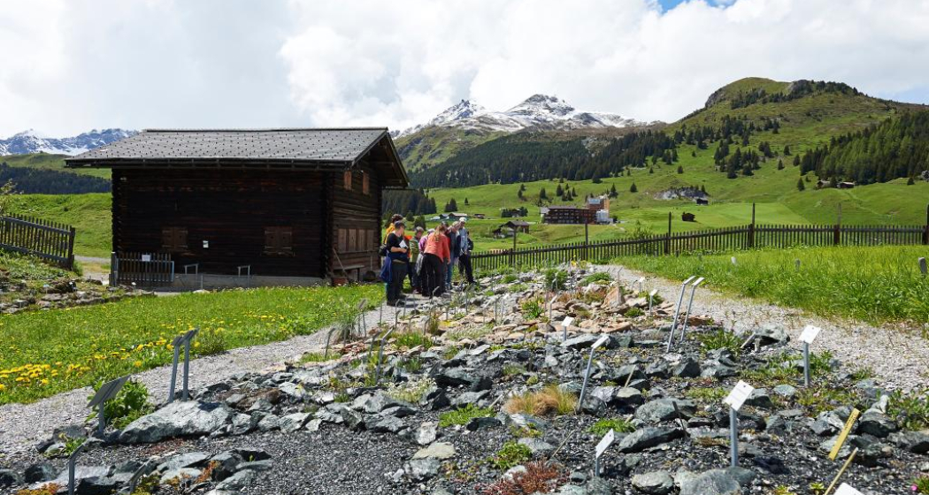 Der Alpengarten Maran Der Alpengarten Maran
