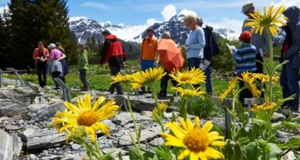 Der Alpengarten Maran Der Alpengarten Maran