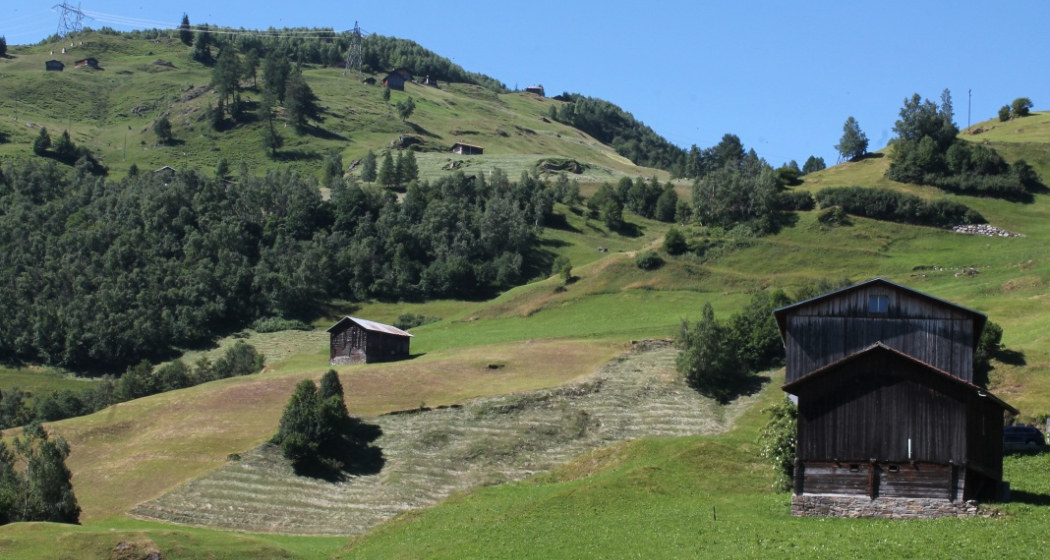 weiter nach Stagias weiter nach Stagias
