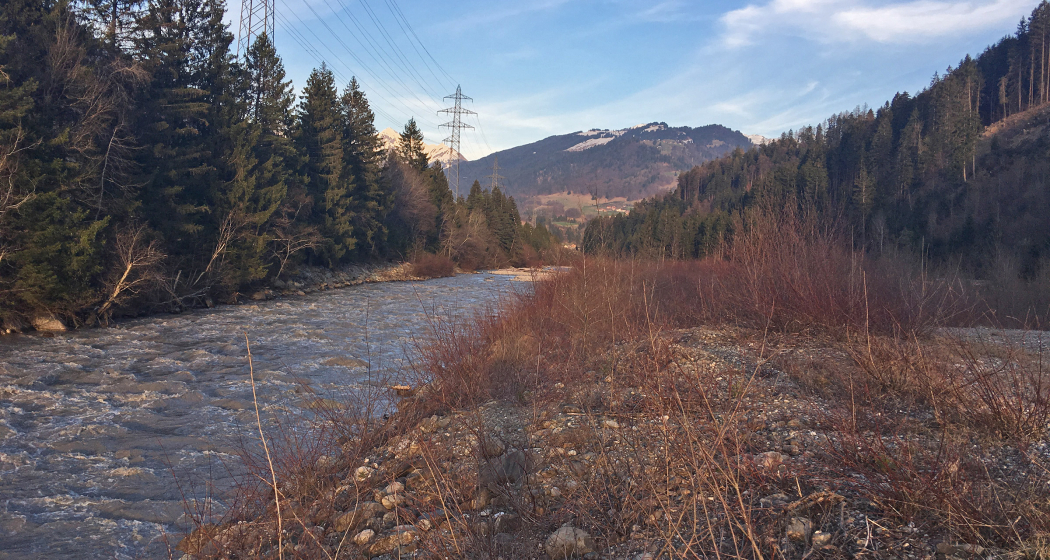 Grillplatz / Feuerstelle beim Naturwaldreservat Chopfwald Grüsch (oua_23018470_image) Grillplatz / Feuerstelle beim Naturwaldreservat Chopfwald Grüsch (oua_23018470_image)