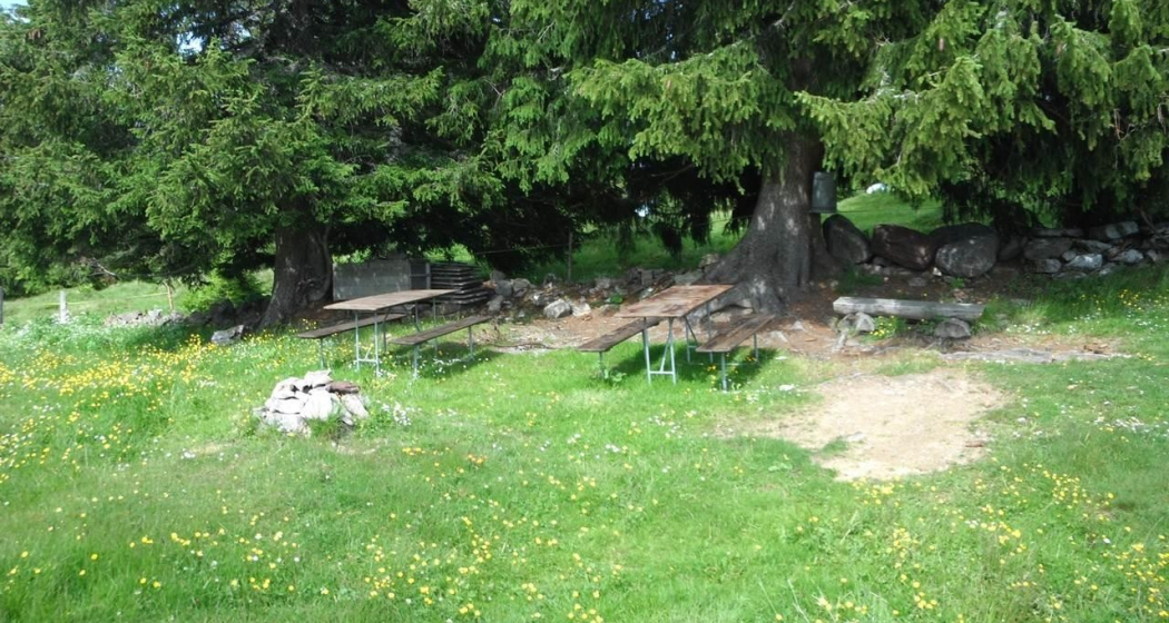 Feuerstelle Büchel Feuerstelle Büchel