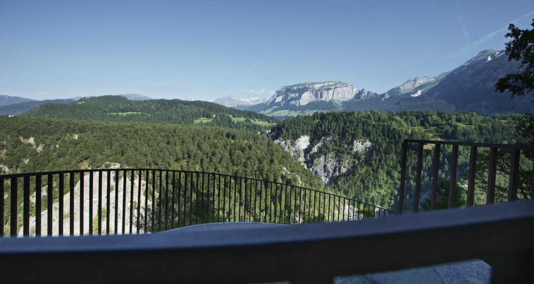 Rheinschlucht (oua_23055952_image)