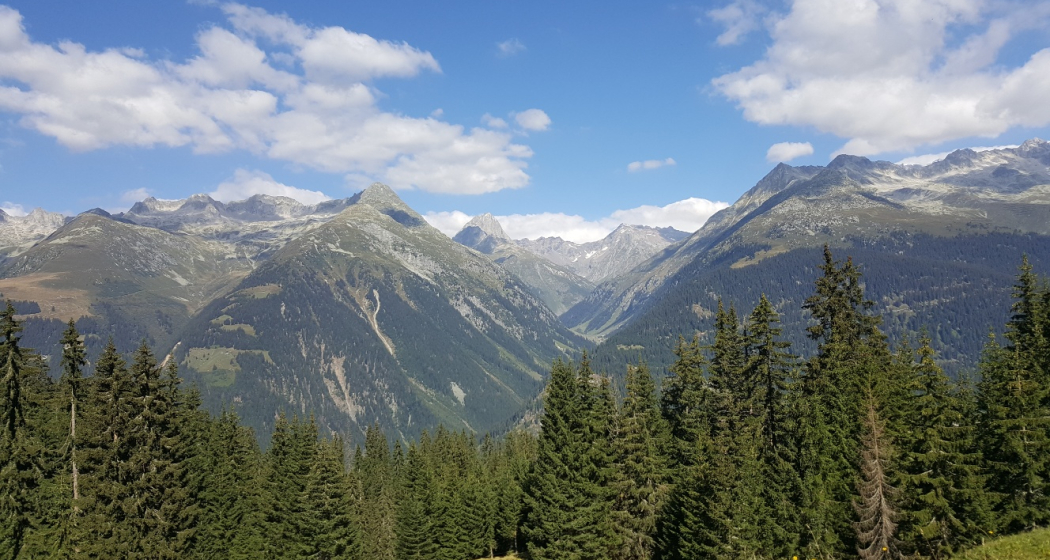 Panorama Panorama