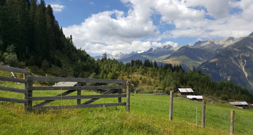 Talwärts nach Laus Talwärts nach Laus