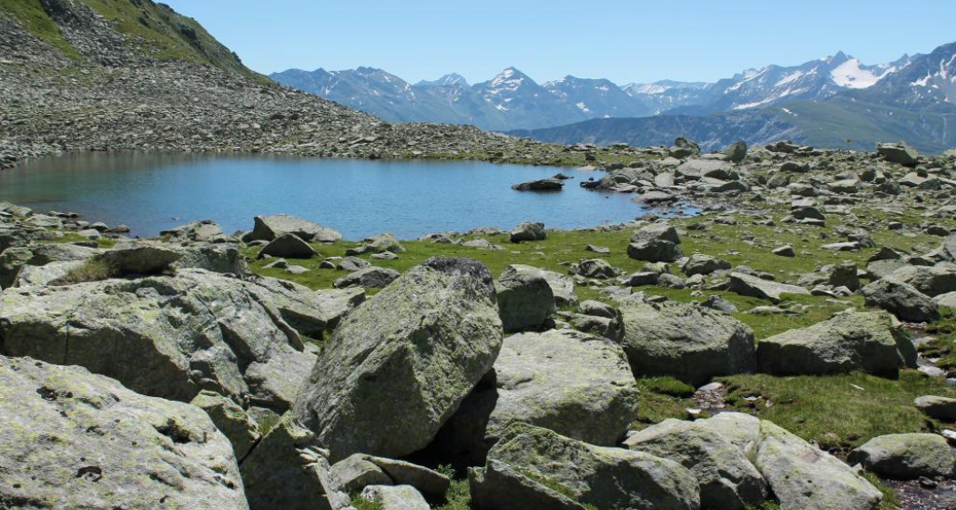 Hoch über der Surselva Hoch über der Surselva