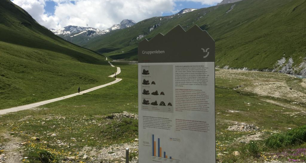 Informationstafel über das Gruppenleben Informationstafel über das Gruppenleben