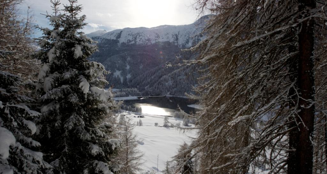 Winterwanderweg zum Aussichtspunkt Winterwanderweg zum Aussichtspunkt