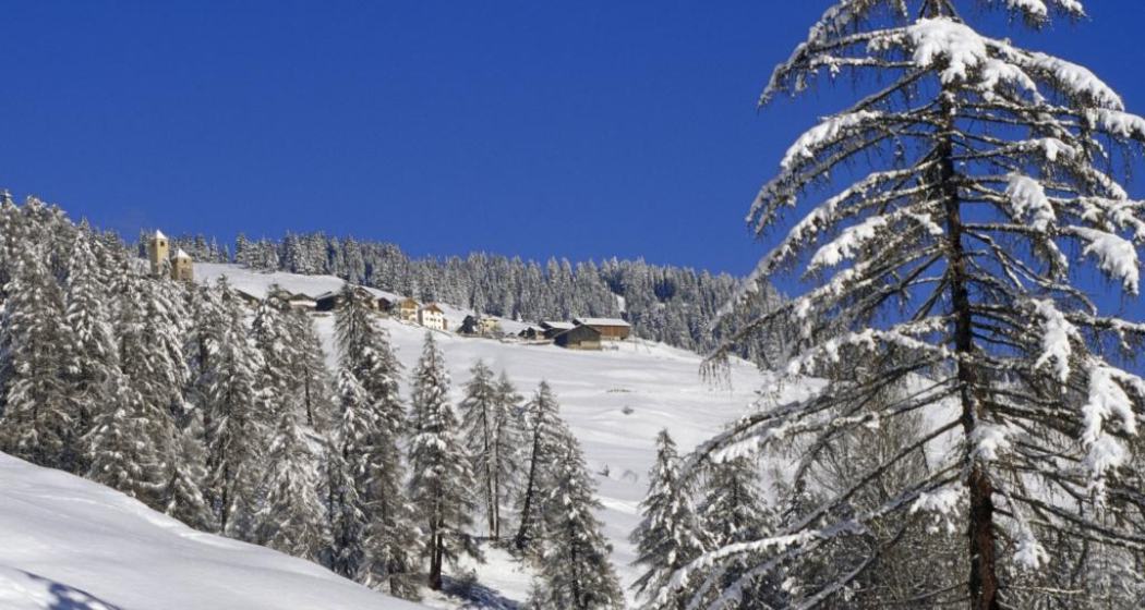 Lohn am Schamserberg Lohn am Schamserberg