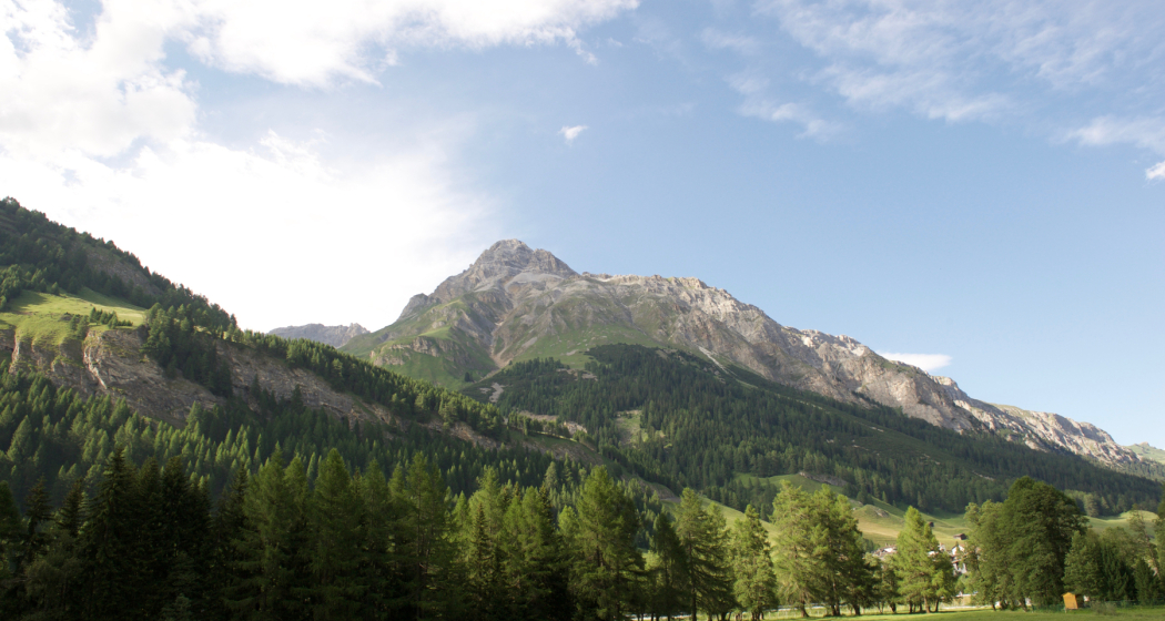 Splügen in den Erlen Splügen in den Erlen