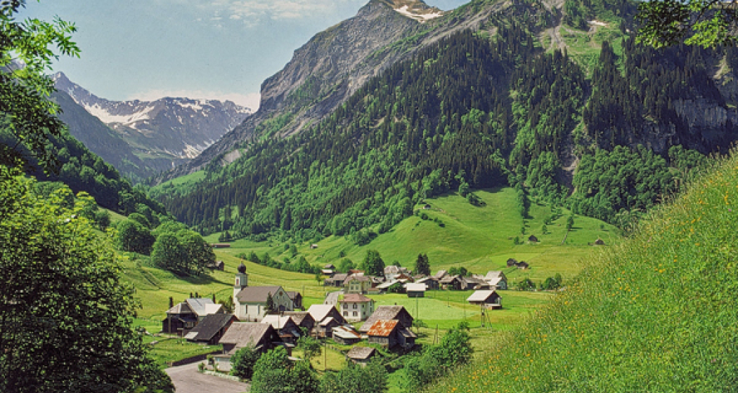 Weisstannen Weisstannen