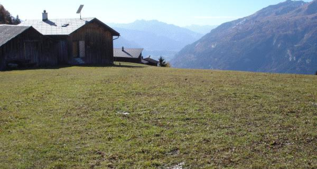 Picknickwiese hinter Stams Picknickwiese hinter Stams