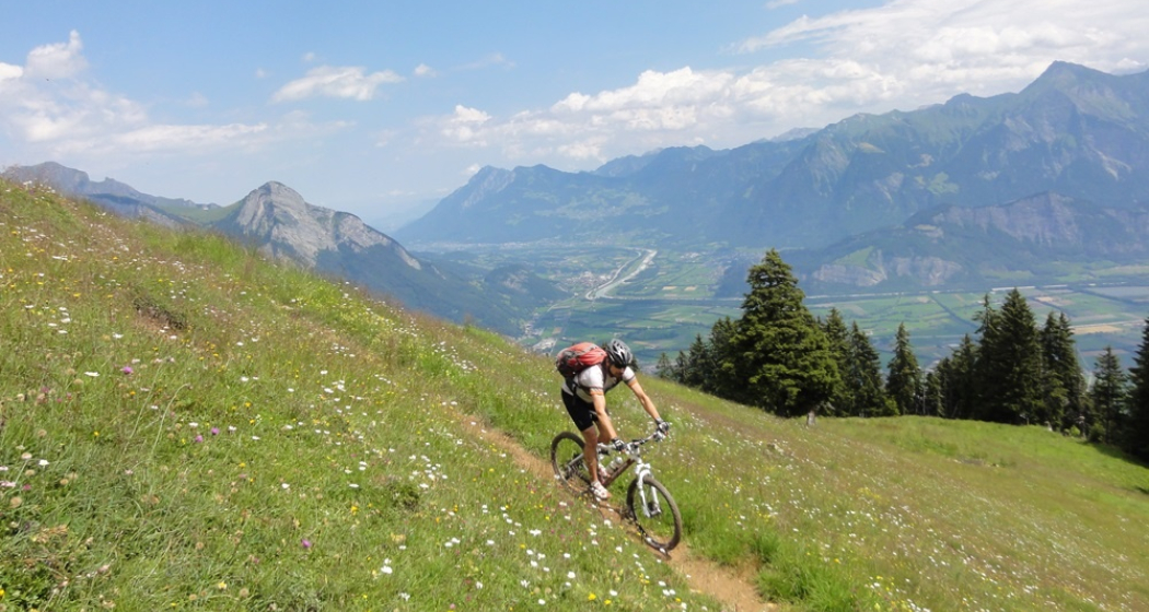 Aussicht ins Rheintal Aussicht ins Rheintal