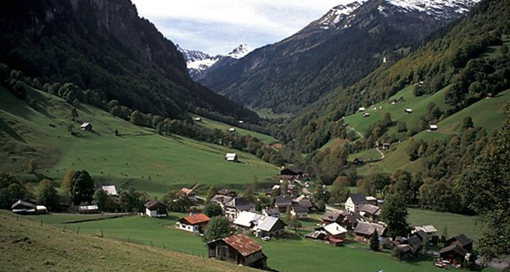 Weisstannen Weisstannen