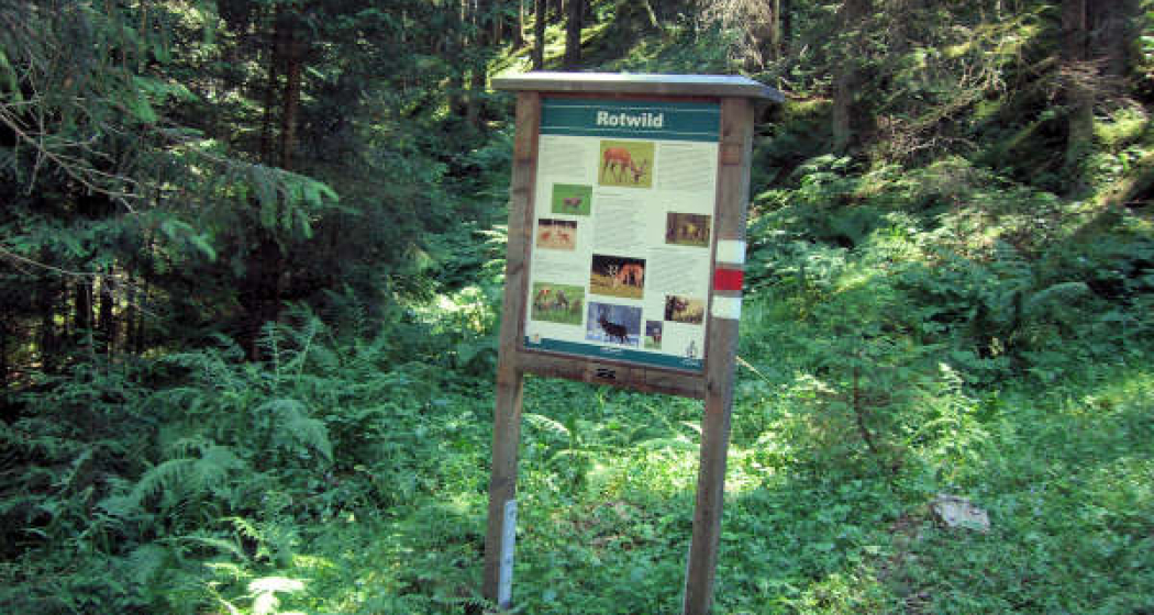 Informationstafel Rotwil Informationstafel Rotwil
