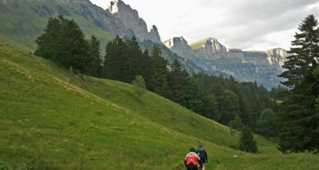 Flowtrail Flowtrail