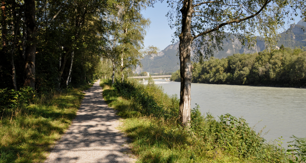 Auf dem Damm in Richtung Norden Auf dem Damm in Richtung Norden