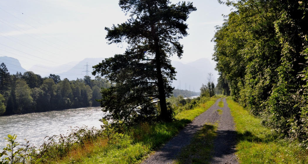Der Rhein als Namensgeber des Trails Der Rhein als Namensgeber des Trails