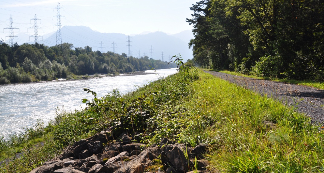 Dem Damm entlang nach Landquart Dem Damm entlang nach Landquart