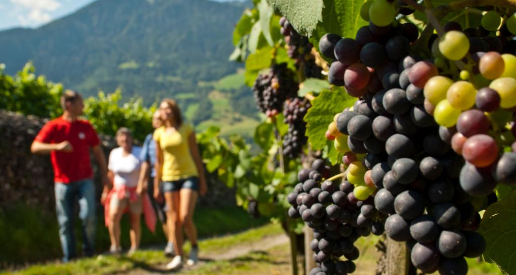 Wanderung in der Bündner Herrschaft Wanderung in der Bündner Herrschaft