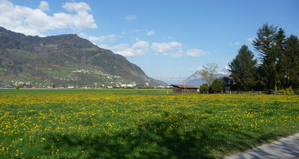 beim Mühlihof, Blick Richtung Mastrils beim Mühlihof, Blick Richtung Mastrils