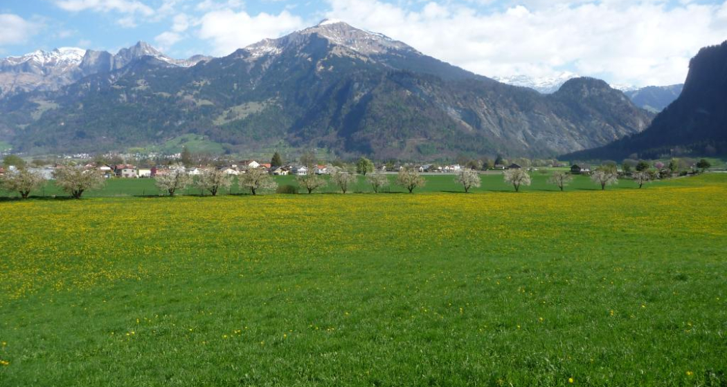 bei der Kreuzwiese, Blick Richtung Malans bei der Kreuzwiese, Blick Richtung Malans