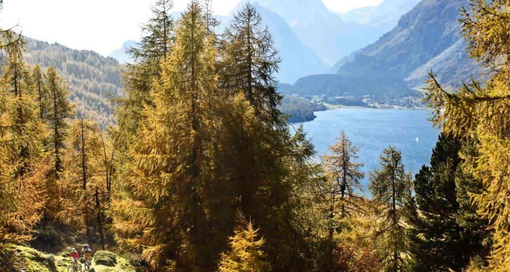 Von der Alp Petpreir Richtung Maloja Von der Alp Petpreir Richtung Maloja
