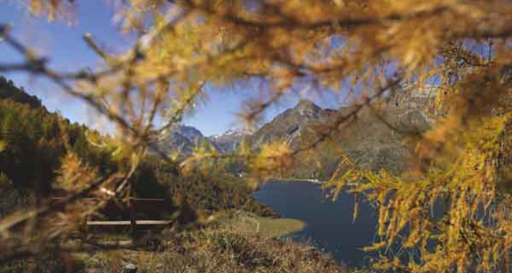 Herbststimmung in Sils Herbststimmung in Sils