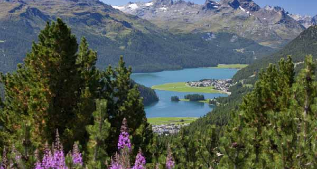 Blick zurück nach Silvaplana