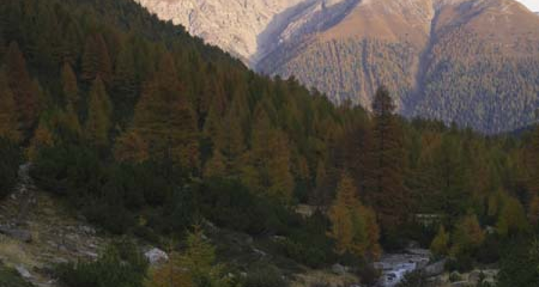 Via Engiadina Etappe 5: Zuoz – Zernez [SchweizMobil-Nr. 87] (oua_23436274_image)