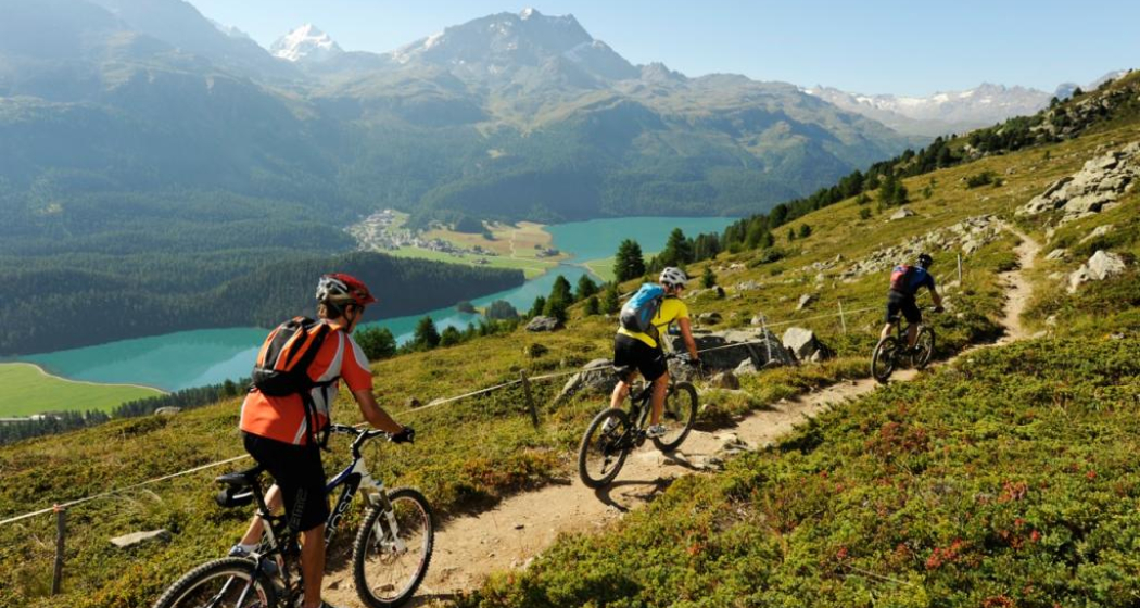 Im Bereich Orchas oberhalb Silvaplana