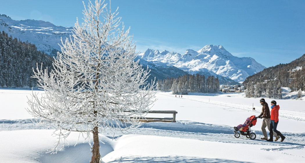 Winterwanderweg auf und neben dem Champfèrersee Winterwanderweg auf und neben dem Champfèrersee