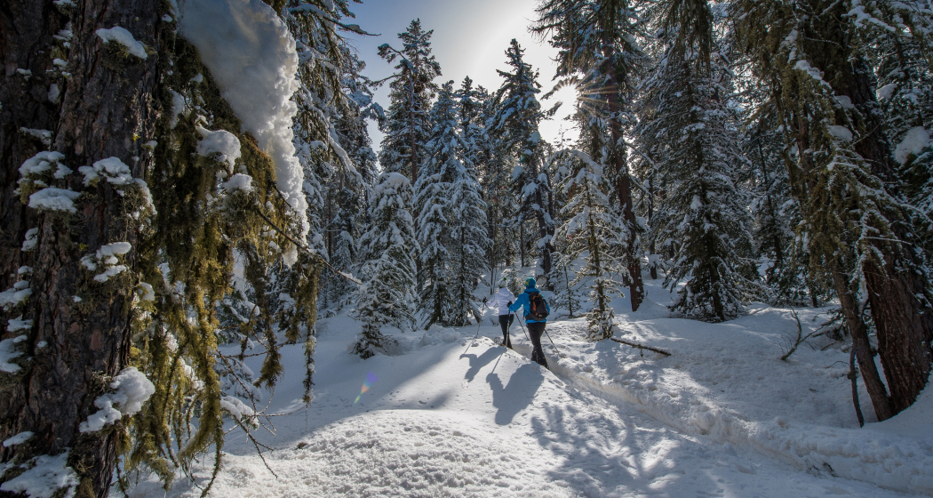 Celerina- Pontresina (SchweizMobil Route 564) (oua_23436375_image)