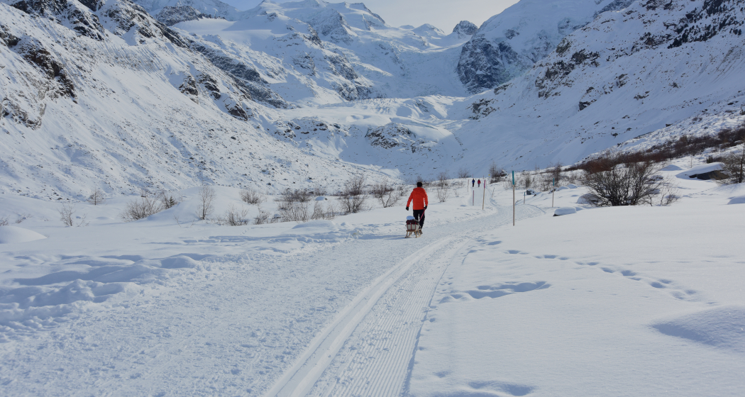 Morteratsch (SchweizMobil Route 314) (oua_23436378_image) Morteratsch (SchweizMobil Route 314) (oua_23436378_image)