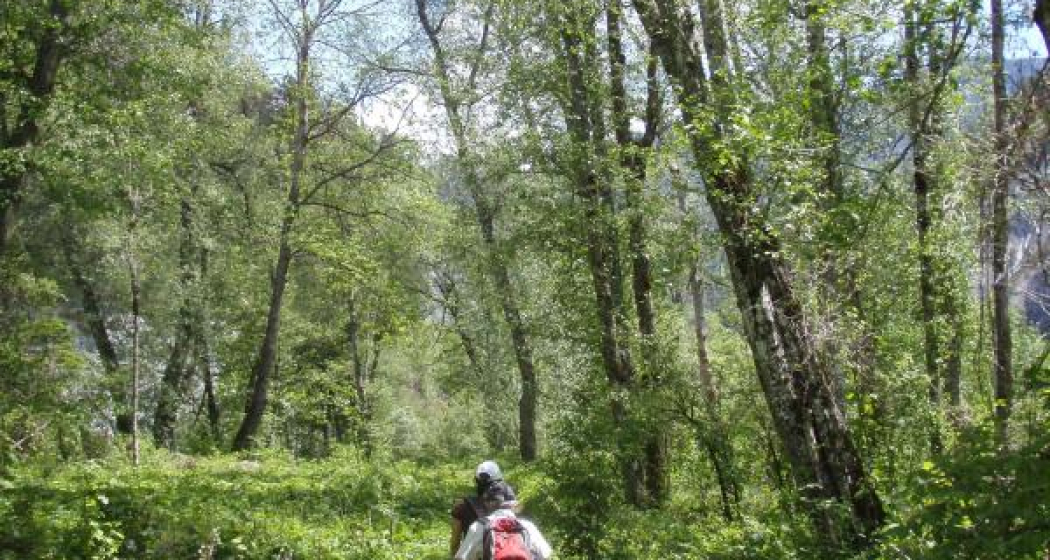 Naturmonument Ruinaulta Naturmonument Ruinaulta