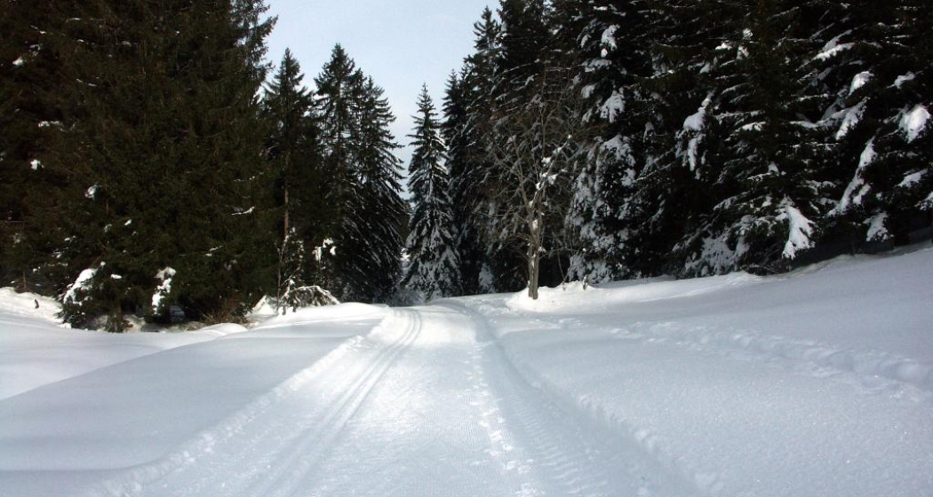 Langlaufloipe Migliè / Plaun sut Langlaufloipe Migliè / Plaun sut