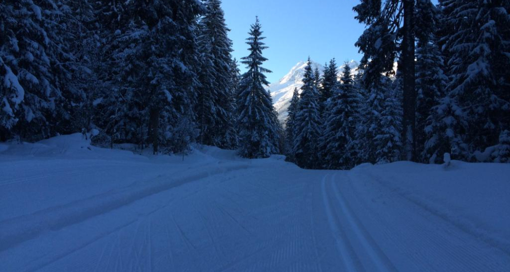 Langlaufloipe Migliè / Plaun sut Langlaufloipe Migliè / Plaun sut