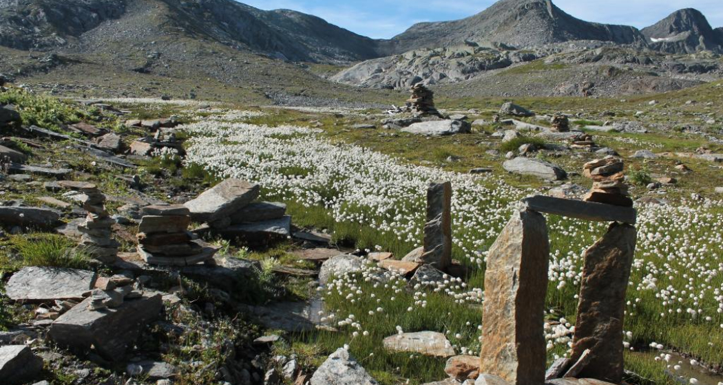 Bornengopass Bornengopass