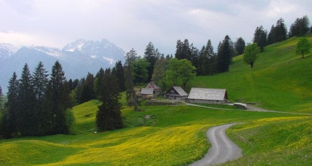 Alp Schrina, mit Moränenhügel davor Alp Schrina, mit Moränenhügel davor