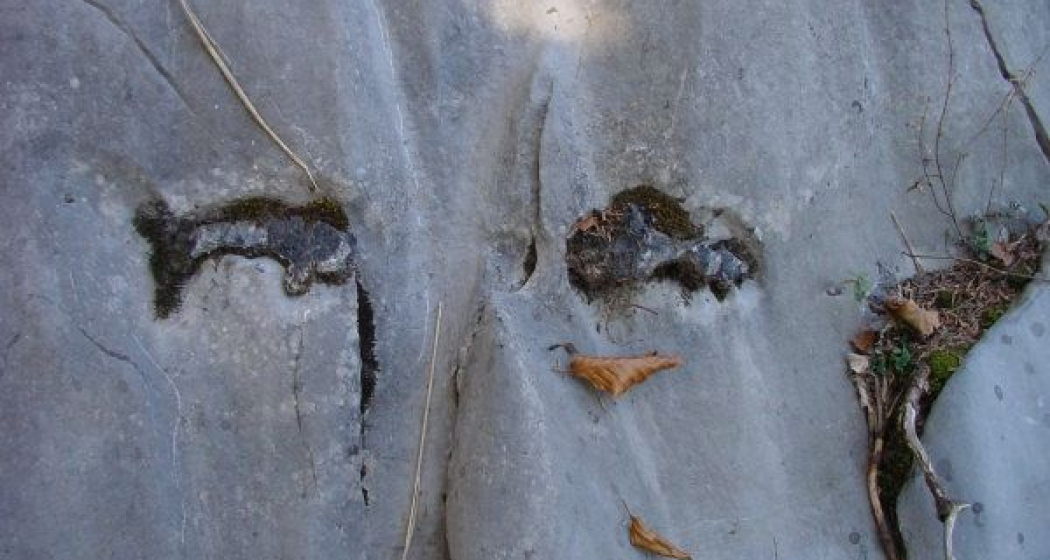 Feuersteine im Quintnerkalk