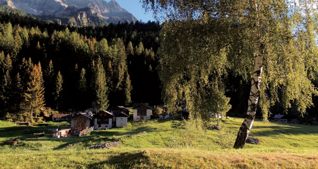 Monti di Villa Monti di Villa