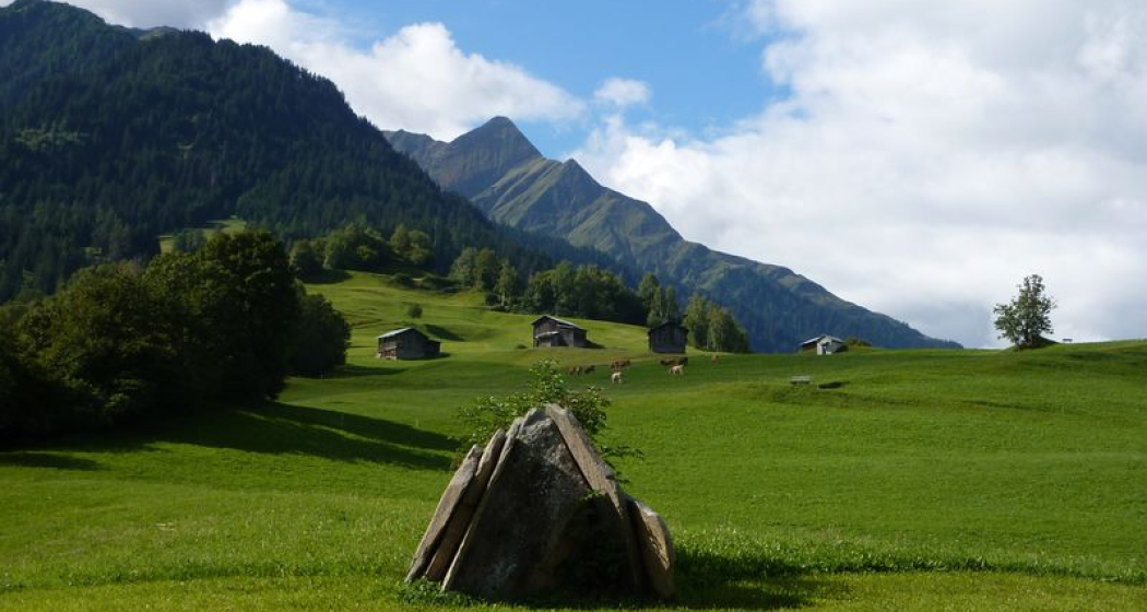 Panoramamenhir von Surcasti (oua_23983102_image)