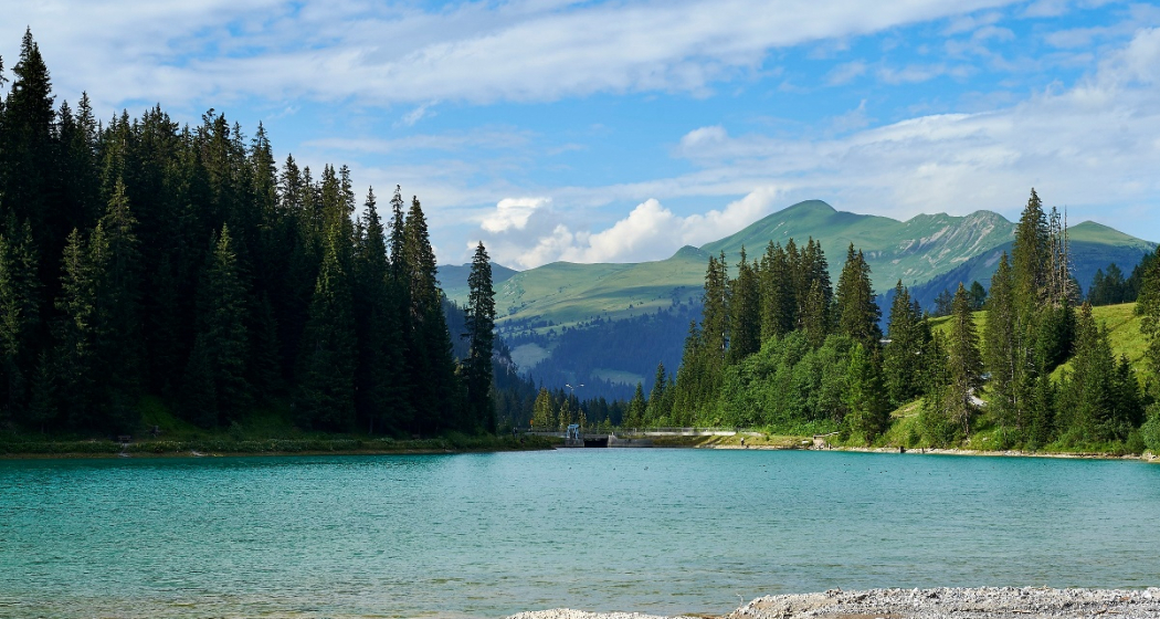 Stausee Stausee