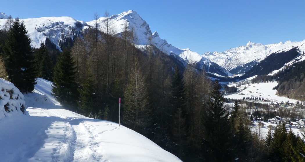 Panell Panell