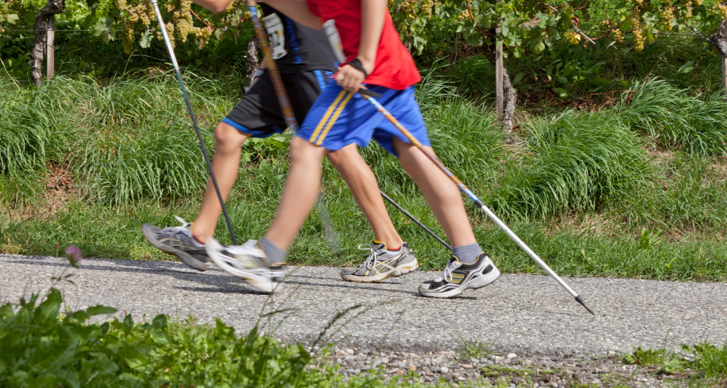 rhiienergie Trail Tamins rhiienergie Trail Tamins