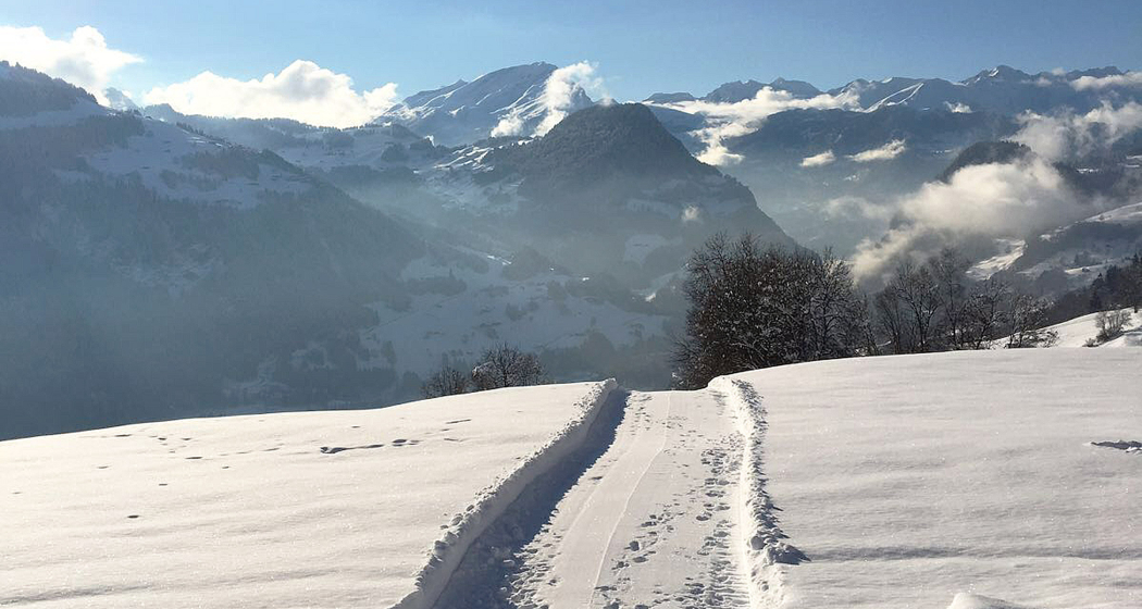 Winterwanderweg Fanas Winterwanderweg Fanas