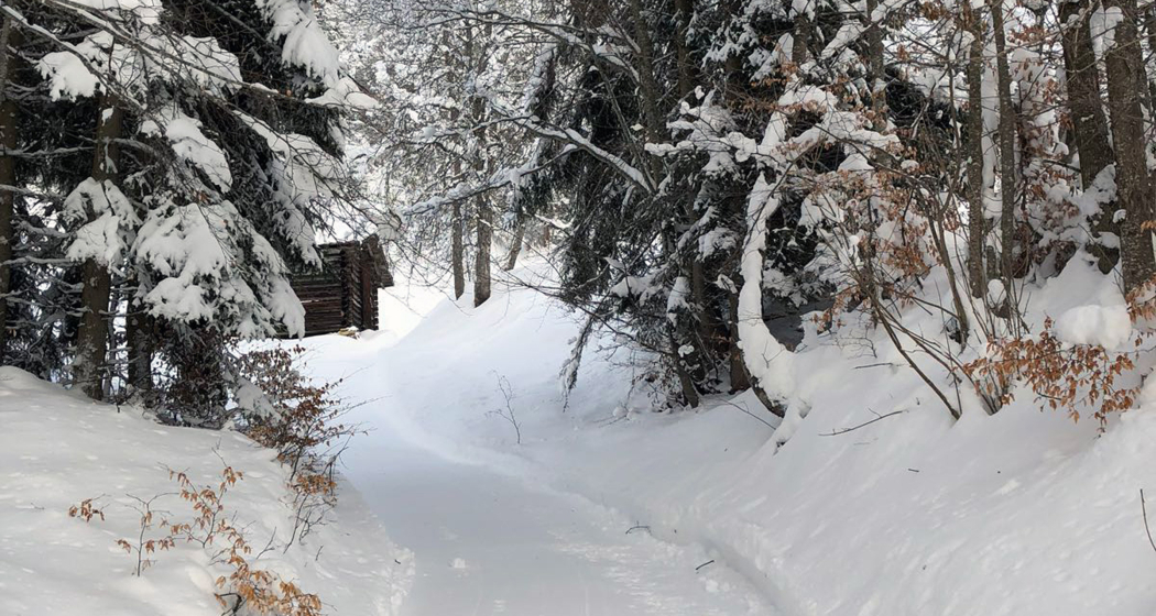 Winterwanderweg Fanas Winterwanderweg Fanas